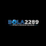 BOLA2289pro